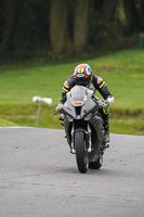 Advanced Group Silver_Grey Bikes